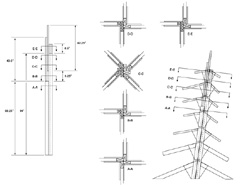 Trunk Cross Sections - Click for Larger Image